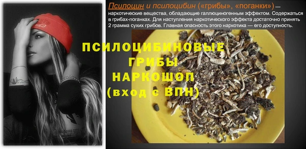 МДПВ Алексин