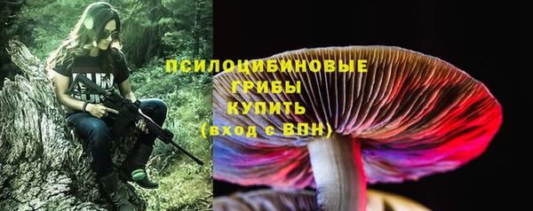 МДПВ Алексин