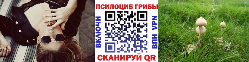Псилоцибиновые грибы Psilocybine cubensis  мега ССЫЛКА  Полярные Зори  где найти  